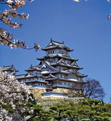 Japonsko a kvetení třešní