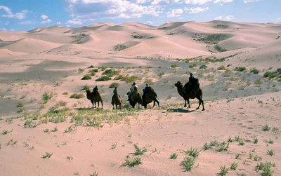 Mongolsko - jízda na velbloudech